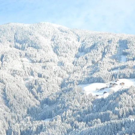 Appartments Hofer Lejlighed *